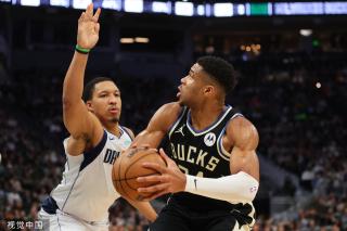 的日本队 的日本队